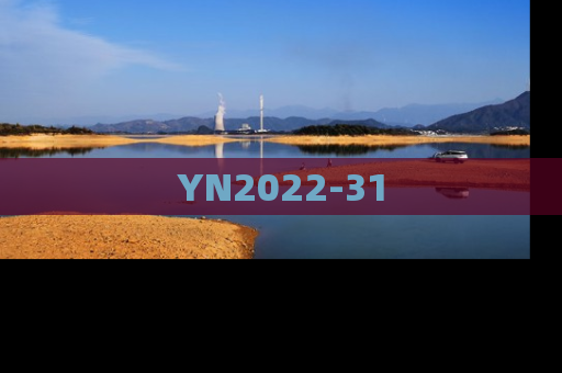 YN2022-31