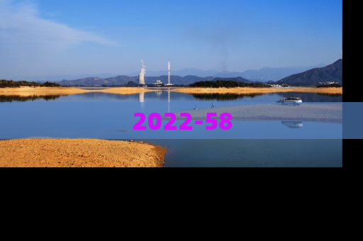 2022-58