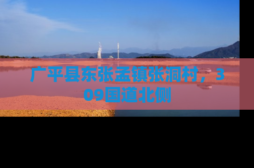 广平县东张孟镇张洞村，309国道北侧