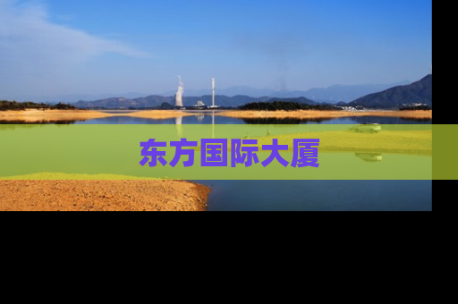 东方国际大厦