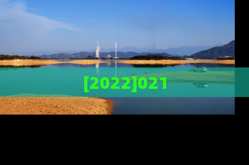 [2022]021