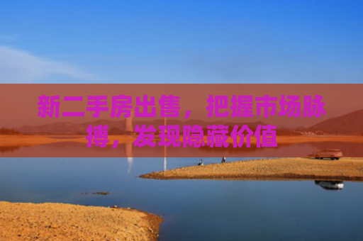 新二手房出售，把握市场脉搏，发现隐藏价值
