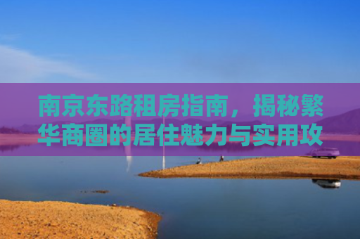 南京东路租房指南，揭秘繁华商圈的居住魅力与实用攻略