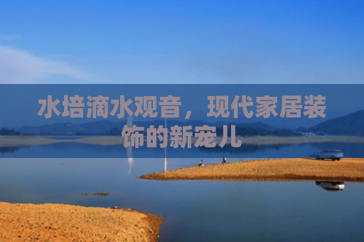 水培滴水观音，现代家居装饰的新宠儿