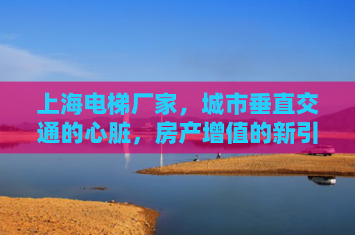上海电梯厂家，城市垂直交通的心脏，房产增值的新引擎