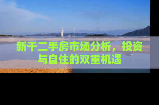 新干二手房市场分析，投资与自住的双重机遇