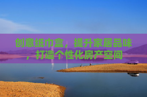 创意纸巾盒，提升家居品味，打造个性化房产空间