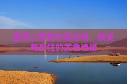 唐河二手房市场分析，投资与自住的黄金选择