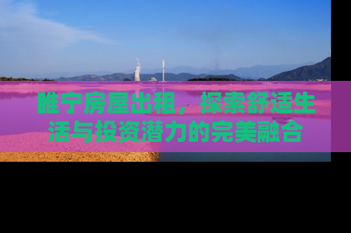 睢宁房屋出租，探索舒适生活与投资潜力的完美融合