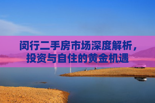 闵行二手房市场深度解析，投资与自住的黄金机遇