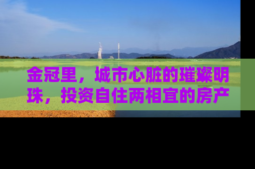 金冠里，城市心脏的璀璨明珠，投资自住两相宜的房产新宠