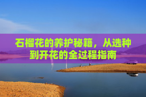 石榴花的养护秘籍，从选种到开花的全过程指南