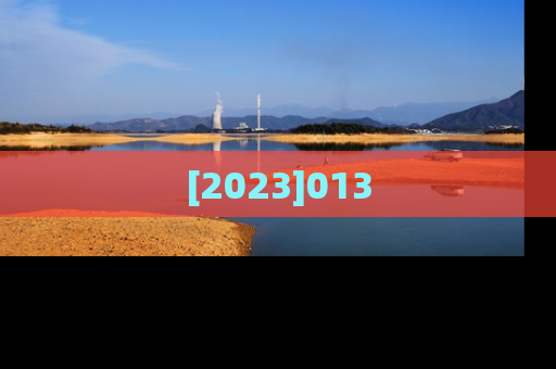 [2023]013
