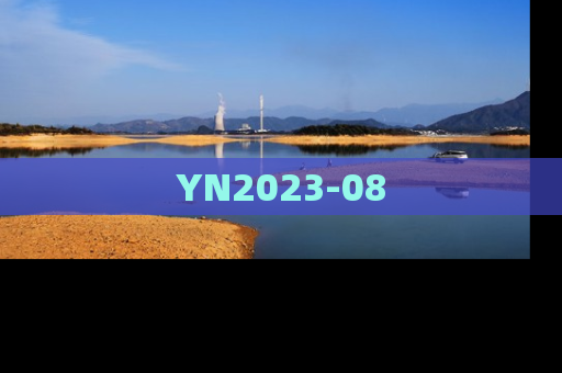 YN2023-08