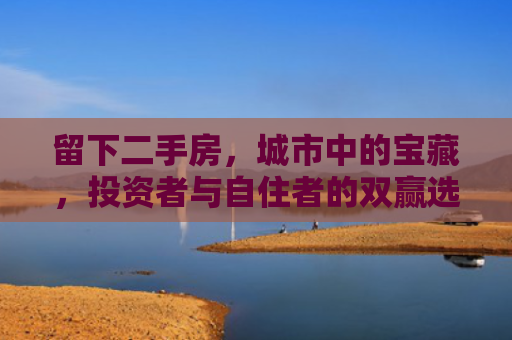 留下二手房，城市中的宝藏，投资者与自住者的双赢选择