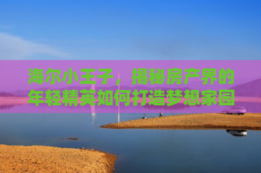 海尔小王子，揭秘房产界的年轻精英如何打造梦想家园