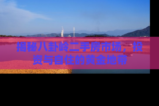 揭秘八卦岭二手房市场，投资与自住的黄金地带