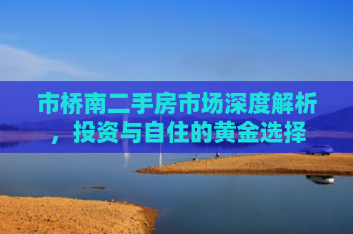 市桥南二手房市场深度解析，投资与自住的黄金选择