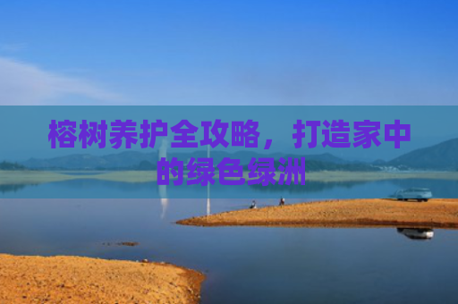 榕树养护全攻略，打造家中的绿色绿洲