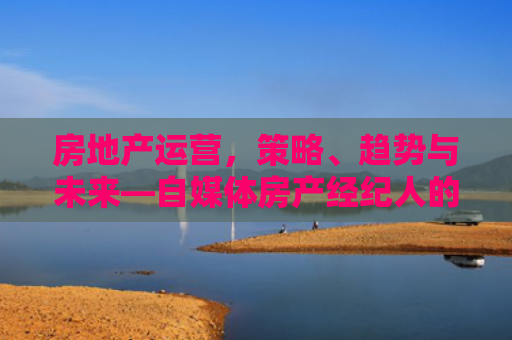 房地产运营，策略、趋势与未来—自媒体房产经纪人的深度解析