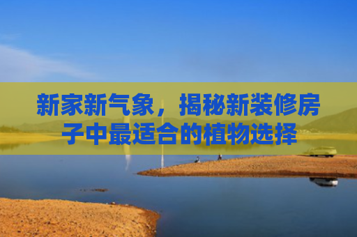 新家新气象，揭秘新装修房子中最适合的植物选择