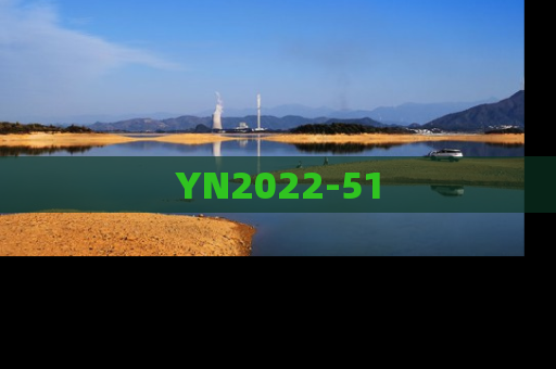 YN2022-51