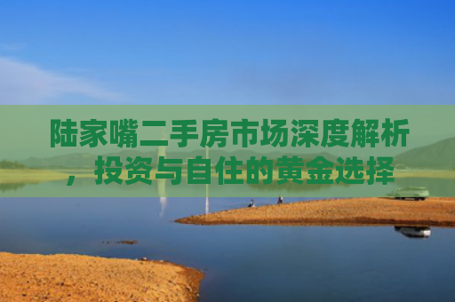 陆家嘴二手房市场深度解析，投资与自住的黄金选择