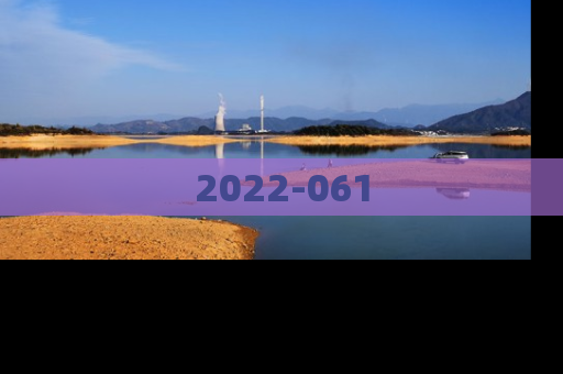 2022-061