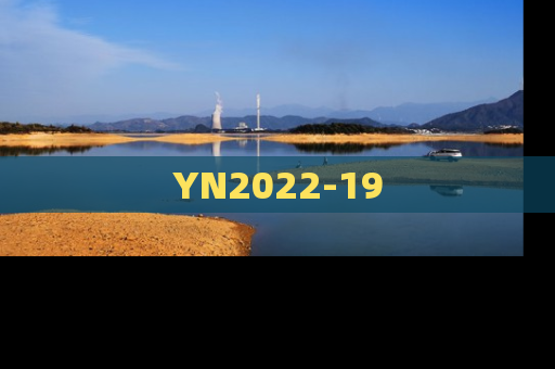 YN2022-19