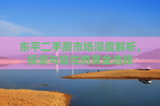东平二手房市场深度解析，投资与自住的黄金选择