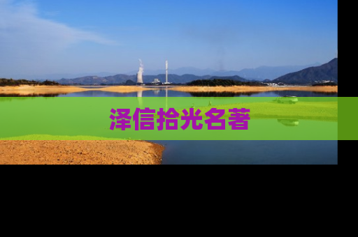 泽信拾光名著