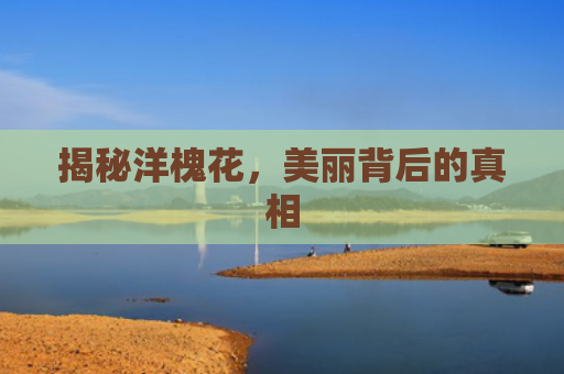揭秘洋槐花，美丽背后的真相