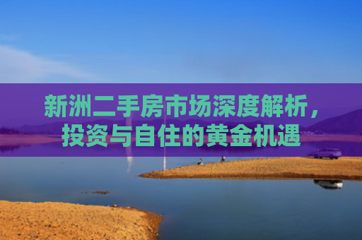 新洲二手房市场深度解析，投资与自住的黄金机遇