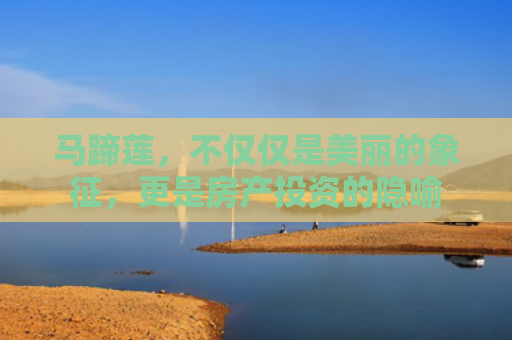 马蹄莲，不仅仅是美丽的象征，更是房产投资的隐喻