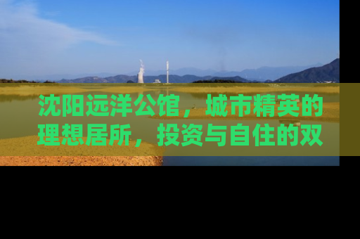 沈阳远洋公馆，城市精英的理想居所，投资与自住的双重价值