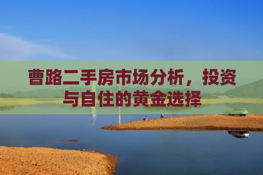 曹路二手房市场分析，投资与自住的黄金选择