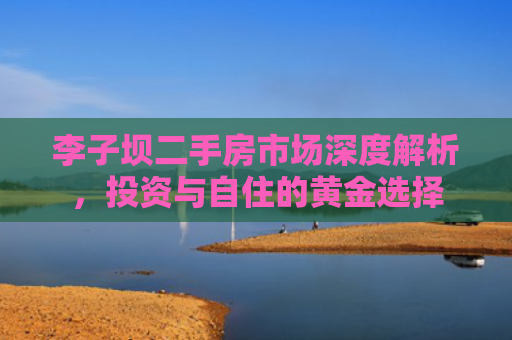 李子坝二手房市场深度解析，投资与自住的黄金选择
