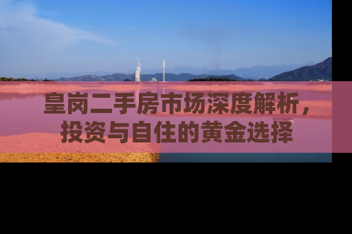 皇岗二手房市场深度解析，投资与自住的黄金选择