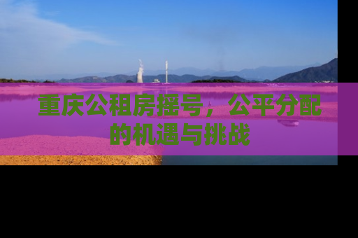重庆公租房摇号，公平分配的机遇与挑战