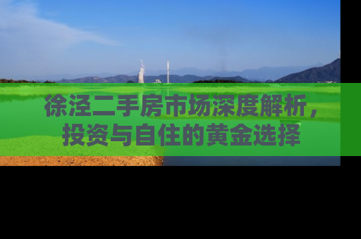 徐泾二手房市场深度解析，投资与自住的黄金选择