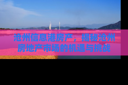 沧州信息港房产，揭秘沧州房地产市场的机遇与挑战