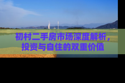 初村二手房市场深度解析，投资与自住的双重价值