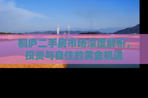 桐庐二手房市场深度解析，投资与自住的黄金机遇