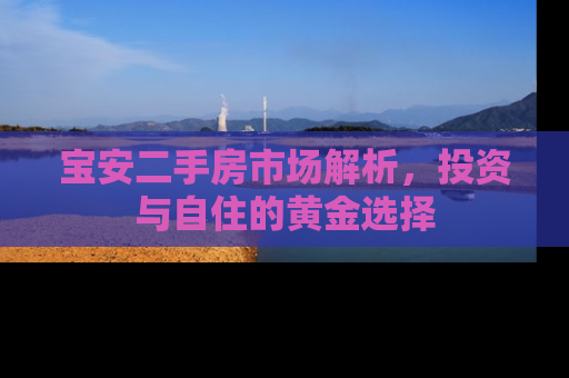 宝安二手房市场解析，投资与自住的黄金选择