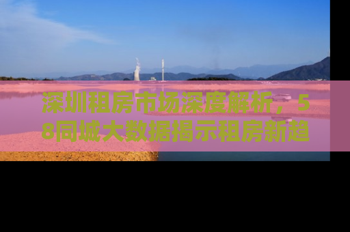 深圳租房市场深度解析，58同城大数据揭示租房新趋势