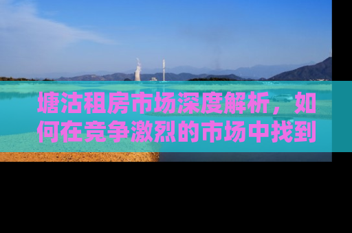 塘沽租房市场深度解析，如何在竞争激烈的市场中找到理想的家