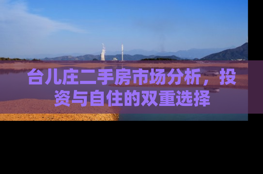 台儿庄二手房市场分析，投资与自住的双重选择