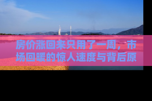 房价涨回来只用了一周，市场回暖的惊人速度与背后原因