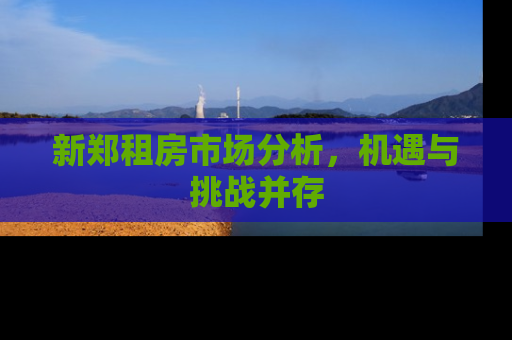 新郑租房市场分析，机遇与挑战并存