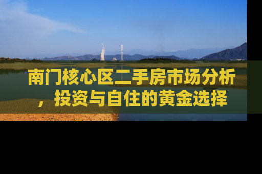 南门核心区二手房市场分析，投资与自住的黄金选择